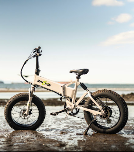 Vintage Iron Cycles - Electric Bikes & Electric Scooters Electric bicycle store in Vancouver BC