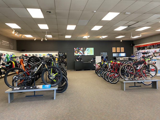 Trek Bicycle Bellingham Bicycle store in Bellingham Washington