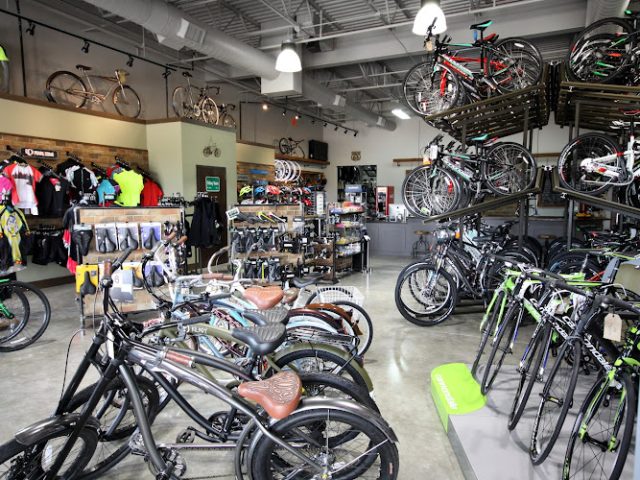Trek Bicycle Sugar Land Bicycle store in Sugar Land,Texas