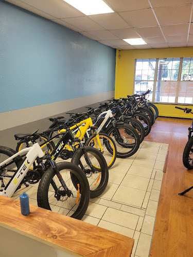Electric Riders Electric bicycle store in Largo Florida