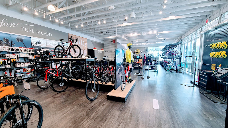 Trek Bicycle Pasadena Bicycle store in Pasadena California