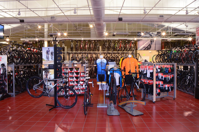 Motion Makers Bicycle Shop Bicycle store in Asheville North Carolina