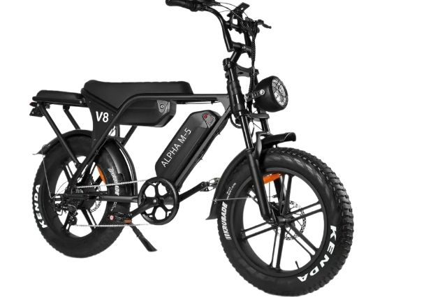 Alpha e-bike Electric bicycle store 