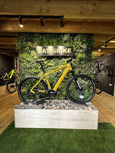 Future Cyclist Electric bicycle store in Herne Bay