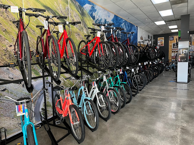 Trek Bicycle Tampa Carrollwood Bicycle store in Tampa Florida