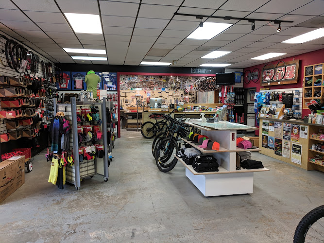 Sycamore Cycles Bicycle store in Pisgah Forest North Carolina