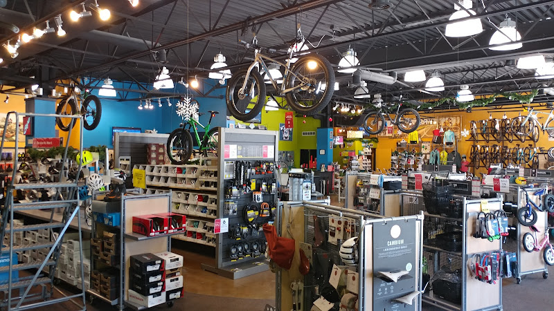Trek Bicycle Royal Oak Bicycle store in Royal Oak Michigan