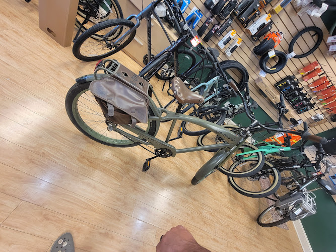 Jackson Family Cycle Bicycle store in Three Oaks Michigan