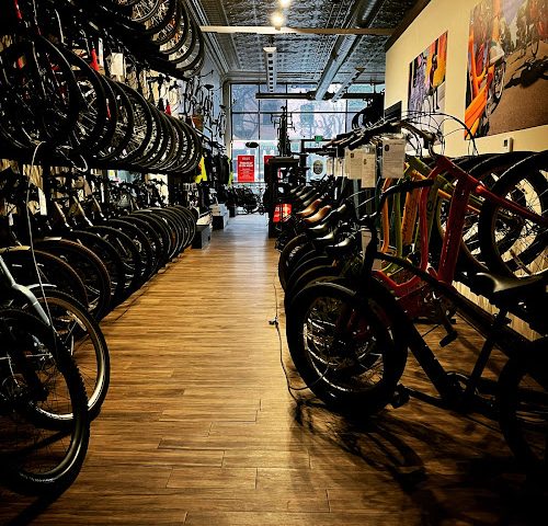 Longmont Bicycle Company & Front
  Range eBikes Bicycle store in Longmont,Colorado
