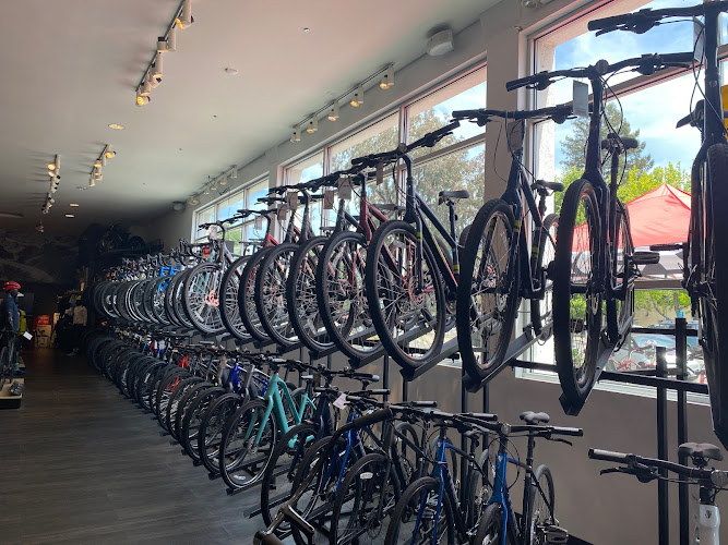 Trek Bicycle Santa Rosa Bicycle store in Santa Rosa California
