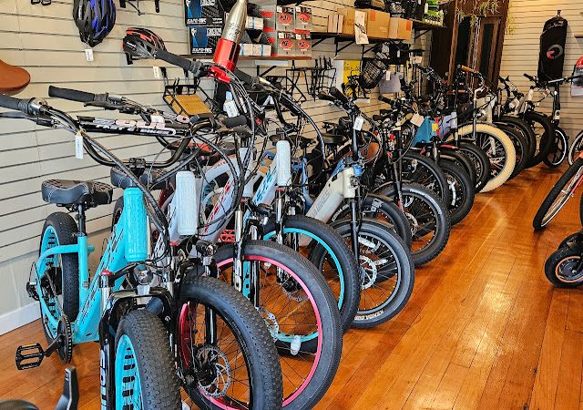 E-Bike-A-Go-Go Electric bicycle store in Fallbrook,California