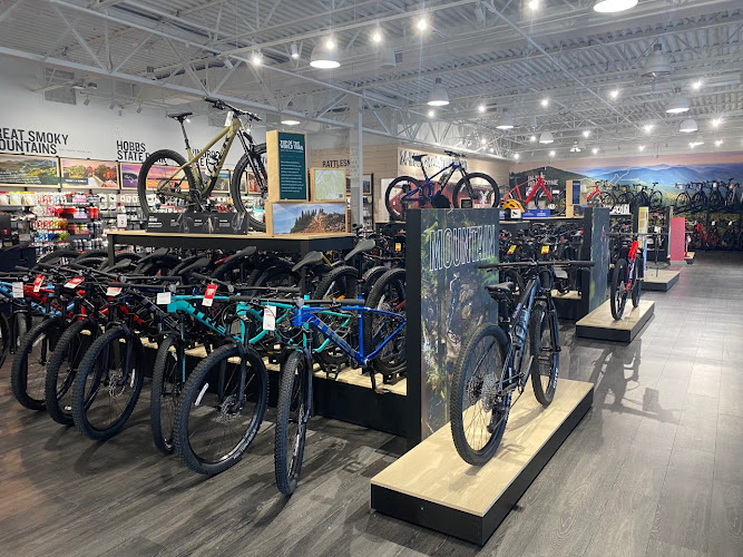 Trek Bicycle Franklin Bicycle store in Franklin Tennessee