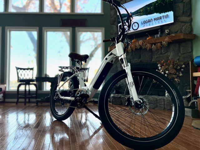 Logan Martin ElecTrek Electric bicycle
  store in ,