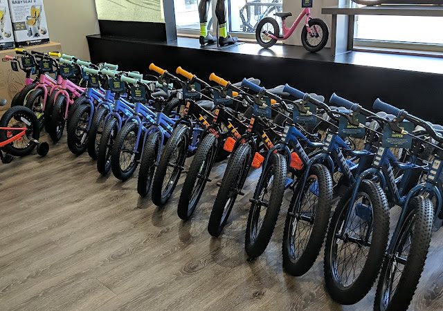 Trek Bicycle Pittsburgh Shadyside Bicycle
  store in Pittsburgh,Pennsylvania