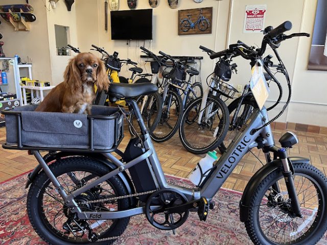 Hot Springs Bicycle Touring Company Bicycle rental service in Hot Springs,Arkansas