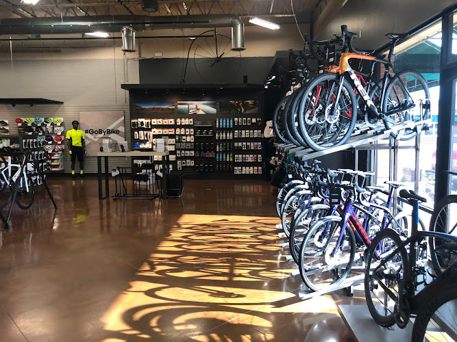 Trek Bicycle Little Rock Bicycle store in Little Rock Arkansas