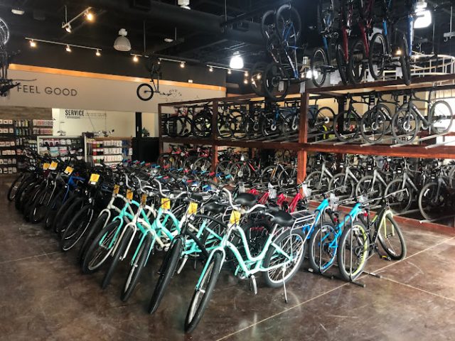 Trek Bicycle Allen Bicycle store in Allen,Texas