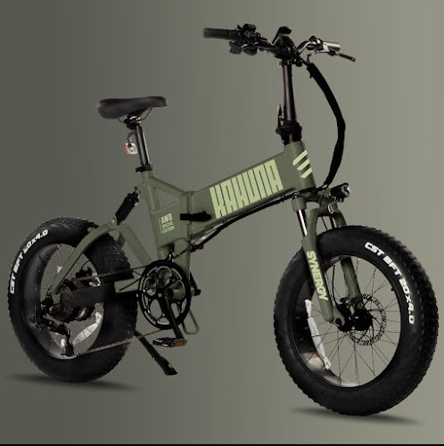 Vintage Iron Cycles - Electric Bikes & Electric Scooters Electric bicycle store in Vaughan Ontario