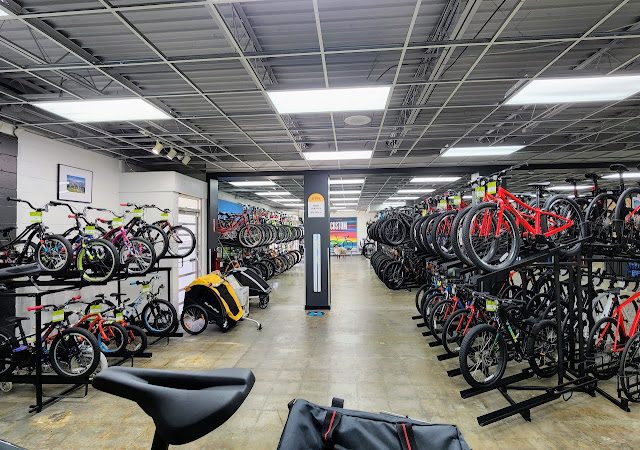 Trek Bicycle Orlando College Park Bicycle store in Orlando,Florida