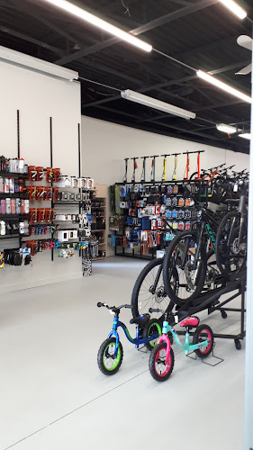 Vélo Vision | Vélos