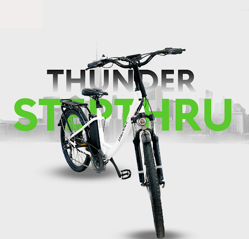 Richmond E Bike - Electric Bike Showroom and #1 Service Center All Makes and Models Electric bicycle store in Richmond British Columbia