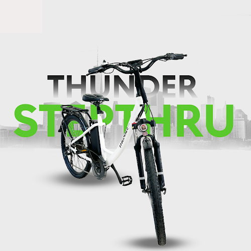 Richmond E Bike - Electric Bike Showroom and #1 Service Center All Makes and Models Electric bicycle store in Richmond British Columbia