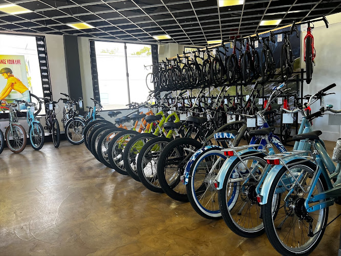 Trek Bicycle Tampa South Bicycle store in Tampa Florida