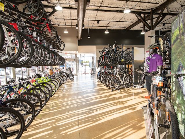 Trek Bicycle Houston Westchase Bicycle store in Houston,Texas