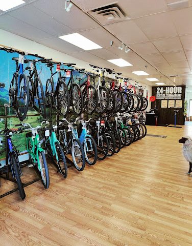 Trek Bicycle Altamonte Springs Bicycle store in Altamonte Springs,Florida