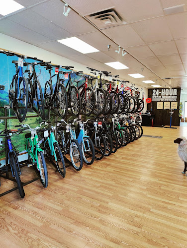 Trek Bicycle Altamonte Springs Bicycle store in Altamonte Springs Florida