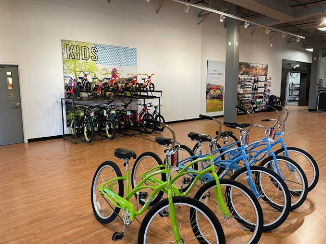 Trek Bicycle Albuquerque Bicycle store in
  Albuquerque,New Mexico