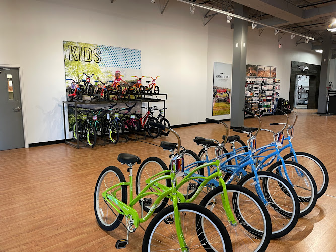 Trek Bicycle Albuquerque Bicycle store in Albuquerque New Mexico
