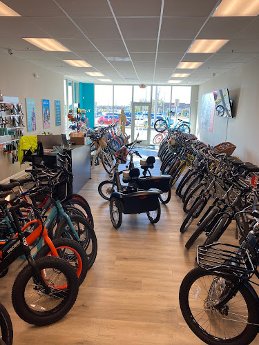 Pedego Electric Bikes Trailwinds Village Bicycle store in Wildwood Florida