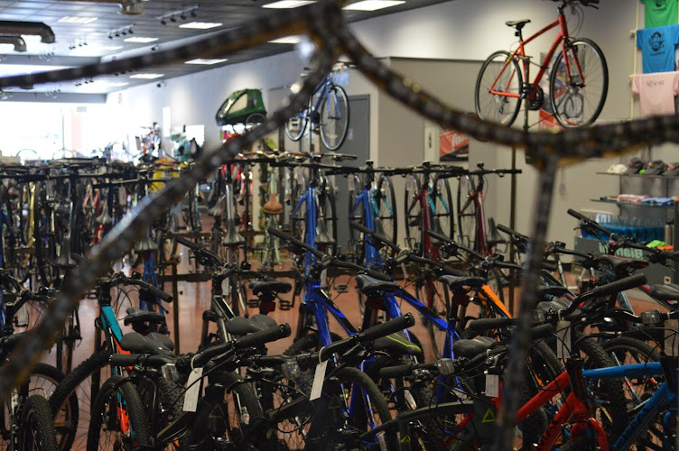 The Bike Factory Bicycle store in Edwardsville Illinois