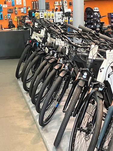 Cit-E Cycles Electric Bikes - Vancouver Bicycle store in Vancouver British Columbia
