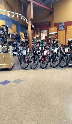 Trek Bicycle Portland Hollywood Bicycle
  store in Portland,Oregon
