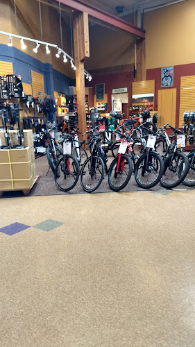 Trek Bicycle Portland Hollywood Bicycle store in Portland Oregon