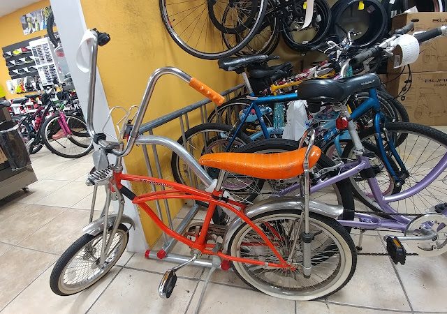 Trek Bicycle Ormond Beach Bicycle store in Ormond Beach,Florida