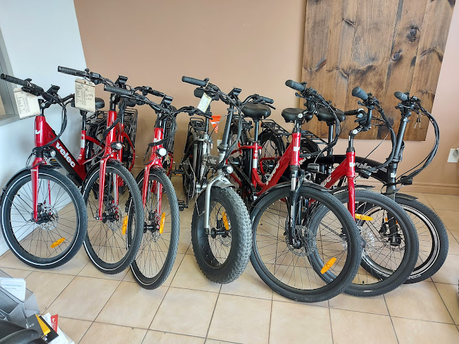 Vélo et Mobilité Électrique - VME PRO Magasin de vélos électriques in Gatineau Quebec