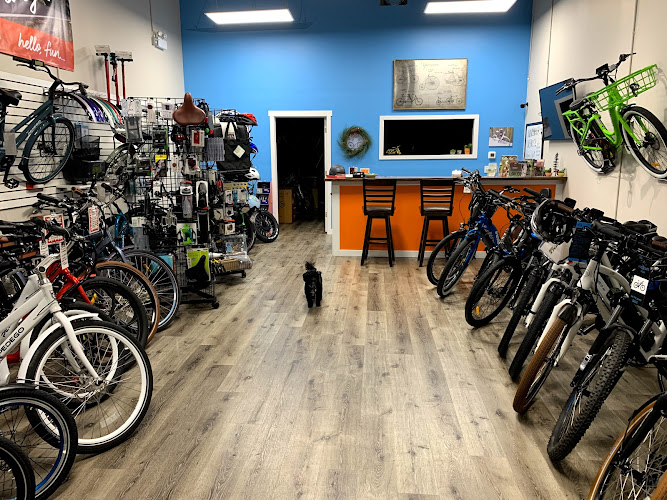 Hamilton Electric Bikes Electric bicycle store in Hamilton Ontario