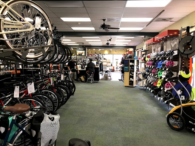 Trek Bicycle Alamo Heights Bicycle store in San Antonio Texas