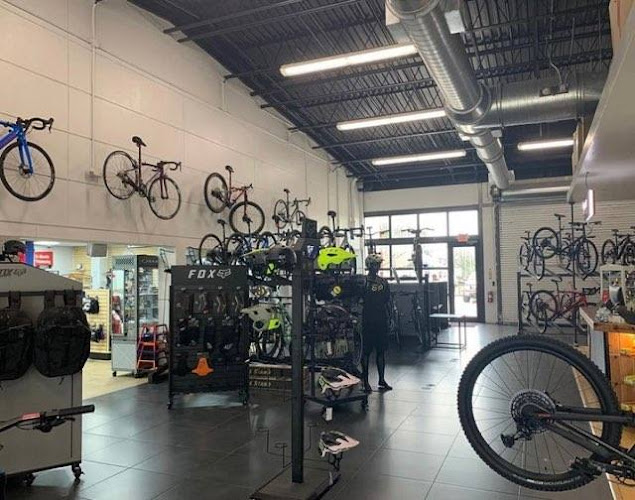 Broward Motorsports Bicycles Palm Beach Bicycle store in West Palm Beach Florida