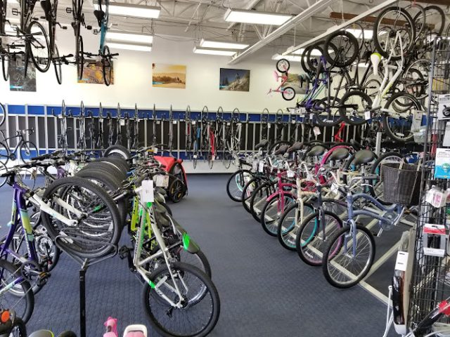 Trek Bicycle Coppell Bicycle store in
  Coppell,Texas