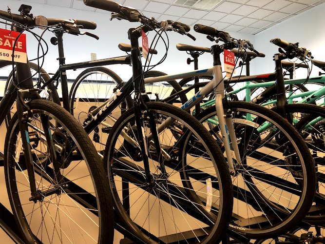 Trek Bicycle Store Spartanburg Bicycle store in Spartanburg South Carolina