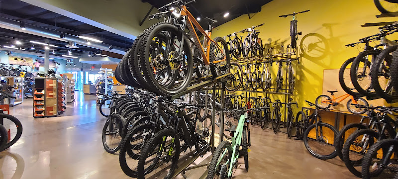 Black Mountain Bicycles Bicycle store in San Diego California