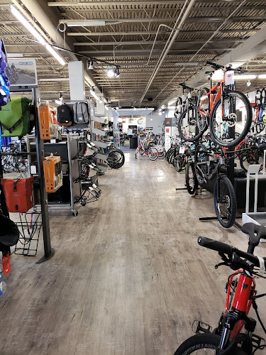 Trek Bicycle Towson Bicycle store in Towson Maryland