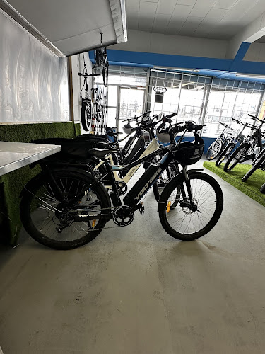 WIRE & WHEEL - Repair & Service Bike