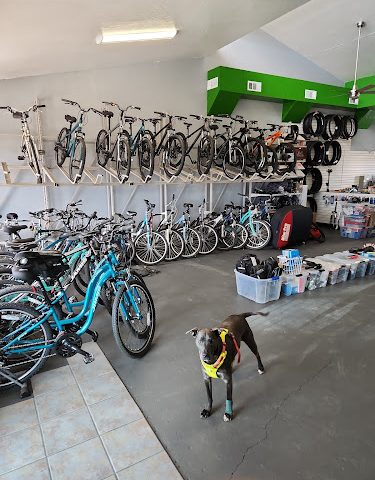 C and C Cyclery Bicycle store in Prescott
  Valley,Arizona