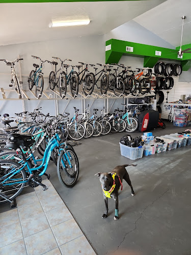 C and C Cyclery Bicycle store in Prescott Valley Arizona