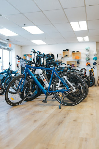 Vintage Iron Cycles - Electric Bikes & Electric Scooters Electric bicycle store in Calgary Alberta